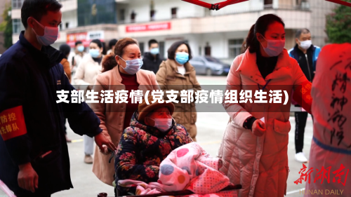 支部生活疫情(党支部疫情组织生活)
