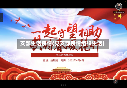 支部生活疫情(党支部疫情组织生活)-第2张图片