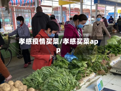 孝感疫情买菜/孝感买菜app-第2张图片