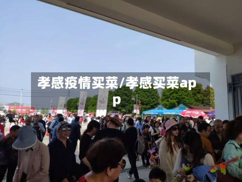 孝感疫情买菜/孝感买菜app