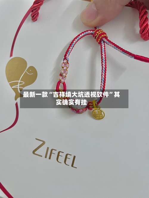 最新一款“吉祥填大坑透视软件”其实确实有挂-第3张图片