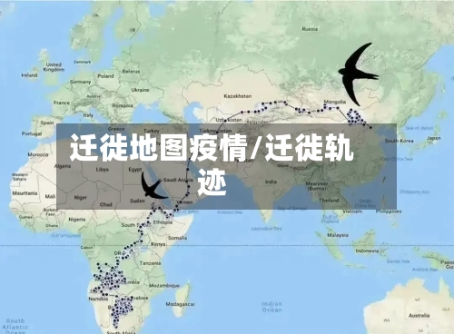 迁徙地图疫情/迁徙轨迹-第2张图片