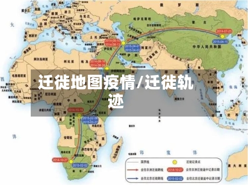 迁徙地图疫情/迁徙轨迹