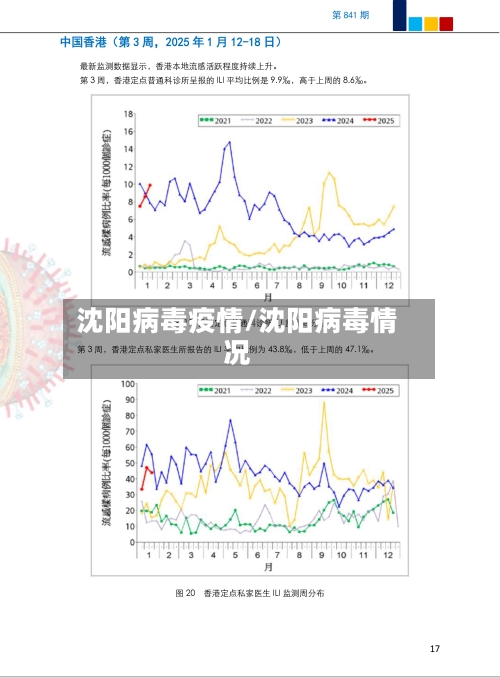 沈阳病毒疫情/沈阳病毒情况