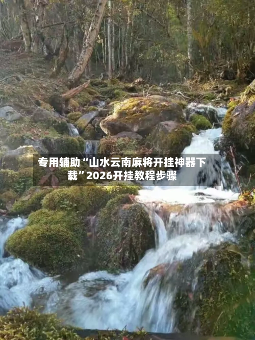 专用辅助“山水云南麻将开挂神器下载”2026开挂教程步骤-第2张图片