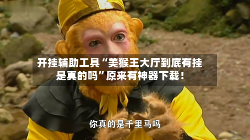 开挂辅助工具“美猴王大厅到底有挂是真的吗”原来有神器下载！-第3张图片