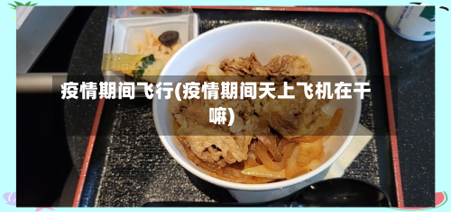 疫情期间飞行(疫情期间天上飞机在干嘛)