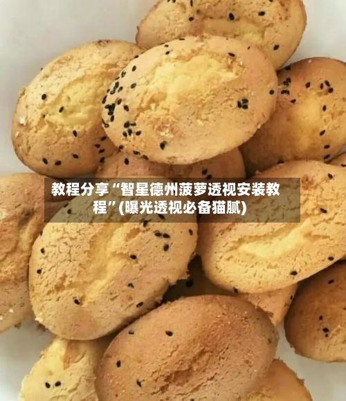 教程分享“智星德州菠萝透视安装教程”(曝光透视必备猫腻)-第3张图片