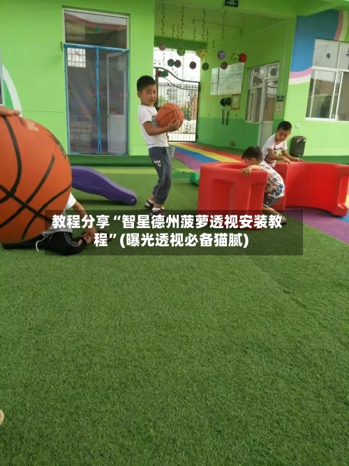 教程分享“智星德州菠萝透视安装教程	”(曝光透视必备猫腻)-第1张图片