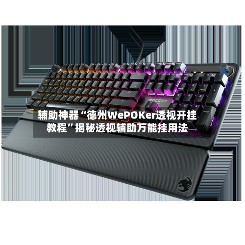 辅助神器“德州WePOKer透视开挂教程”揭秘透视辅助万能挂用法-第2张图片