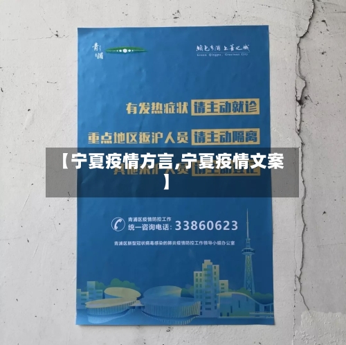 【宁夏疫情方言,宁夏疫情文案】-第3张图片