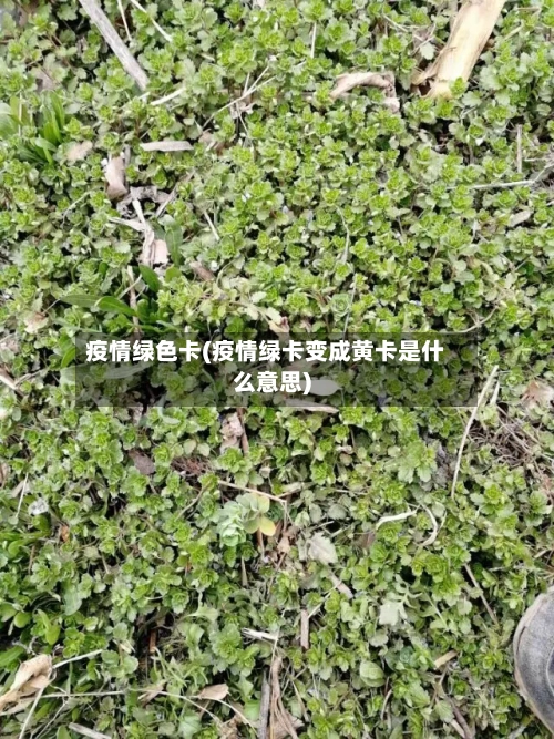 疫情绿色卡(疫情绿卡变成黄卡是什么意思)-第1张图片
