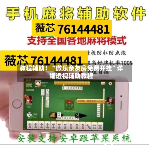 教程辅助！“微乐亲友房免费开挂”详细透视辅助教程-第2张图片
