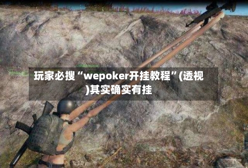玩家必搜“wepoker开挂教程”(透视)其实确实有挂