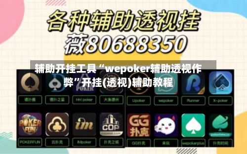辅助开挂工具“wepoker辅助透视作弊	”开挂(透视)辅助教程-第1张图片