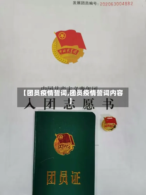 【团员疫情誓词,团员疫情誓词内容】