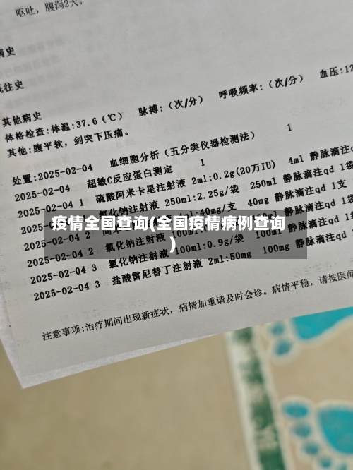 疫情全国查询(全国疫情病例查询)-第2张图片