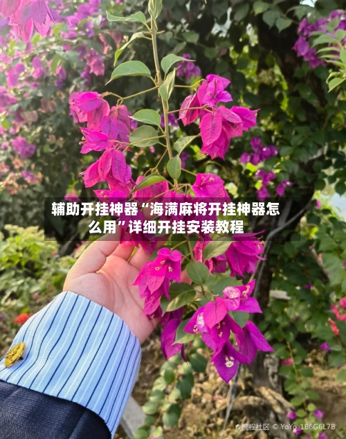 辅助开挂神器“海满麻将开挂神器怎么用”详细开挂安装教程