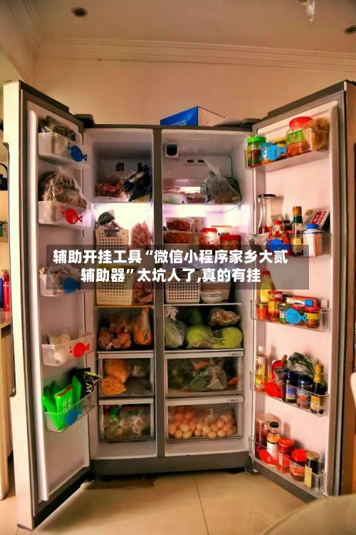 辅助开挂工具“微信小程序家乡大贰辅助器”太坑人了,真的有挂