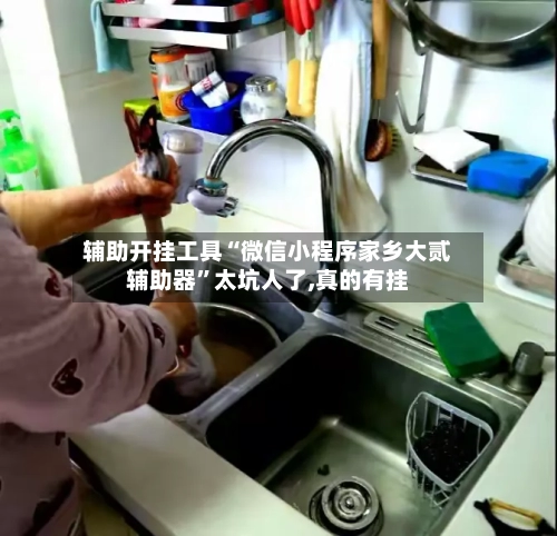 辅助开挂工具“微信小程序家乡大贰辅助器”太坑人了,真的有挂-第2张图片