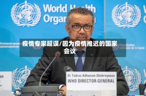 疫情专家延误/因为疫情推迟的国家会议