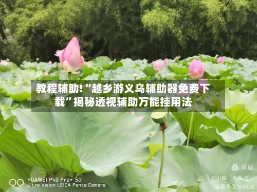 教程辅助!“越乡游义乌辅助器免费下载”揭秘透视辅助万能挂用法