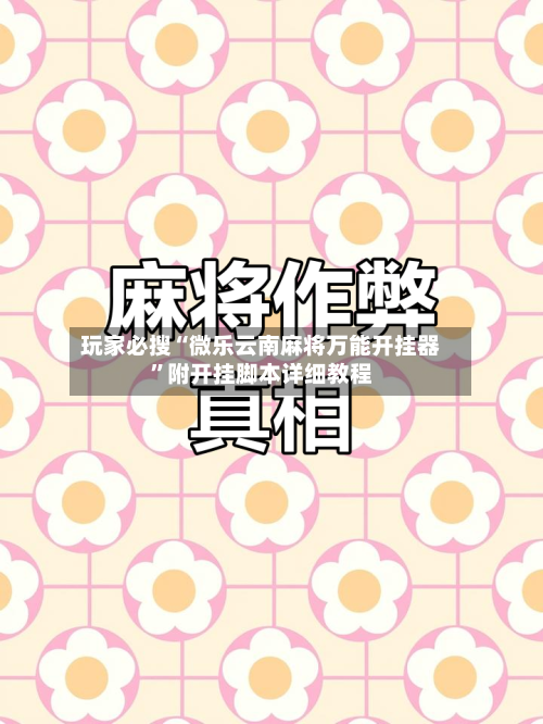 玩家必搜“微乐云南麻将万能开挂器”附开挂脚本详细教程