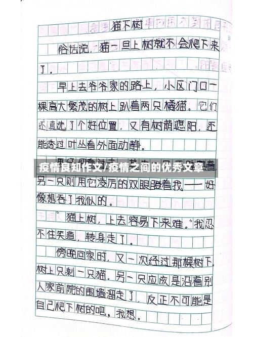 疫情良知作文/疫情之间的优秀文章