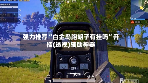 强力推荐“白金岛跑胡子有挂吗”开挂(透视)辅助神器