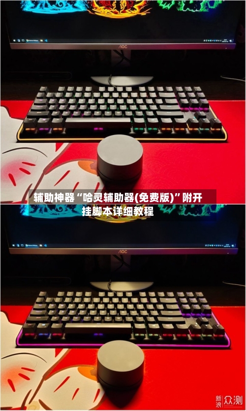 辅助神器“哈灵辅助器(免费版)”附开挂脚本详细教程