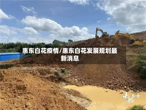 惠东白花疫情/惠东白花发展规划最新消息