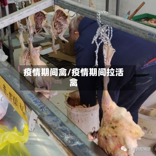 疫情期间禽/疫情期间拉活禽