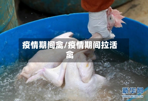 疫情期间禽/疫情期间拉活禽-第2张图片