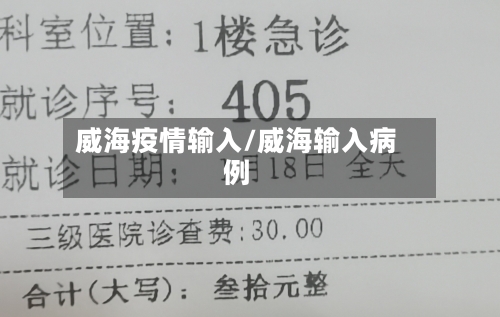 威海疫情输入/威海输入病例