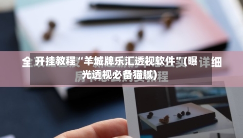 开挂教程“羊城牌乐汇透视软件”(曝光透视必备猫腻)-第3张图片