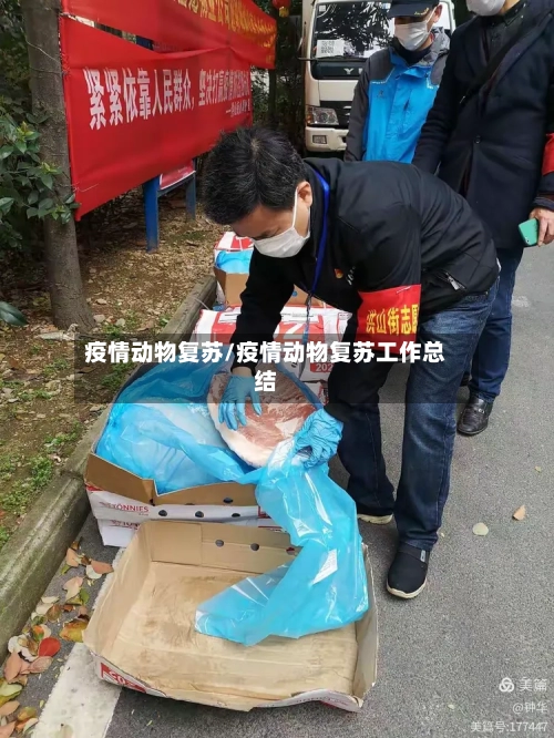 疫情动物复苏/疫情动物复苏工作总结