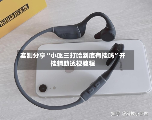 实测分享“小吆三打哈到底有挂吗”开挂辅助透视教程-第2张图片