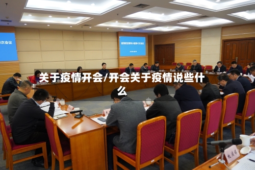 关于疫情开会/开会关于疫情说些什么