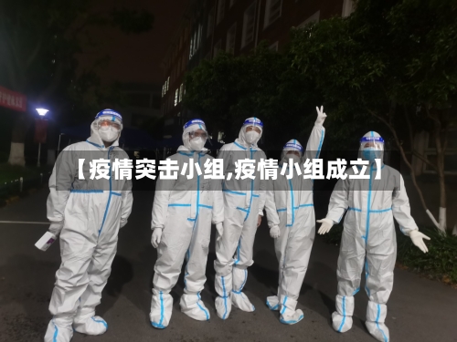【疫情突击小组,疫情小组成立】-第2张图片