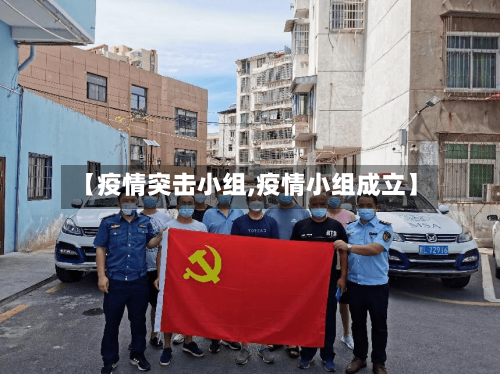 【疫情突击小组,疫情小组成立】