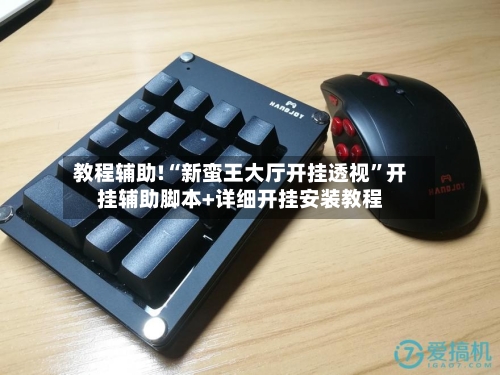 教程辅助!“新蛮王大厅开挂透视	”开挂辅助脚本+详细开挂安装教程-第2张图片