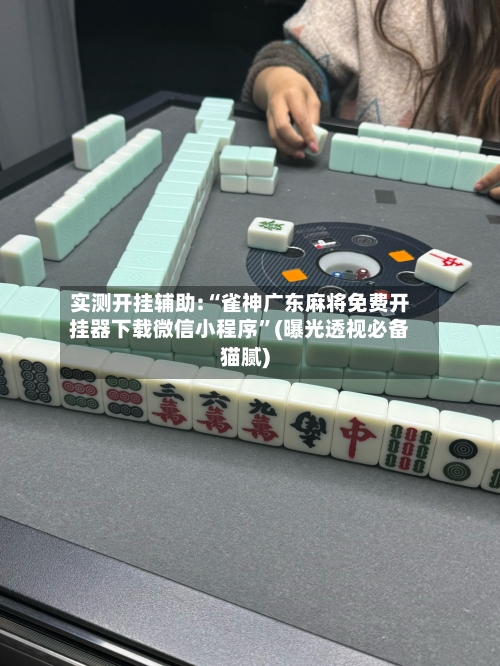 实测开挂辅助:“雀神广东麻将免费开挂器下载微信小程序”(曝光透视必备猫腻)-第3张图片