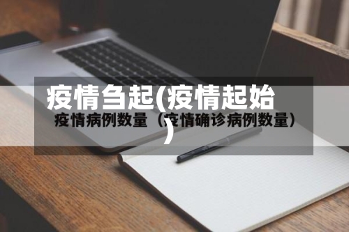 疫情刍起(疫情起始)