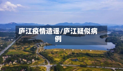 庐江疫情造谣/庐江疑似病例