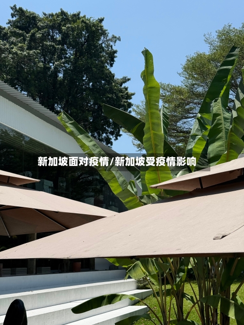 新加坡面对疫情/新加坡受疫情影响