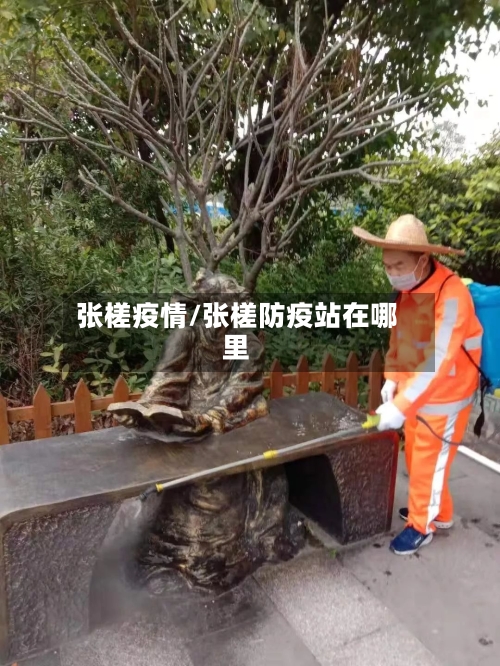 张槎疫情/张槎防疫站在哪里