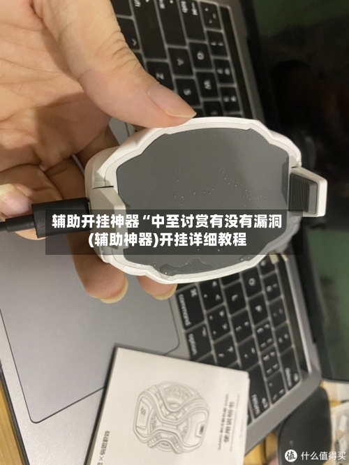 辅助开挂神器“中至讨赏有没有漏洞(辅助神器)开挂详细教程-第2张图片