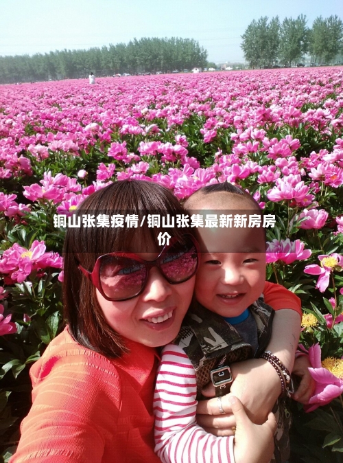 铜山张集疫情/铜山张集最新新房房价