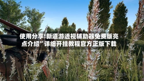 使用分享!新道游透视辅助器免费版亮点介绍”详细开挂教程官方正版下载