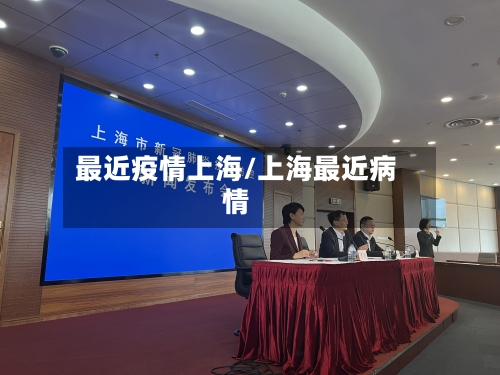 最近疫情上海/上海最近病情-第2张图片
